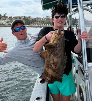 Chunky Grouper—bold and brawny.